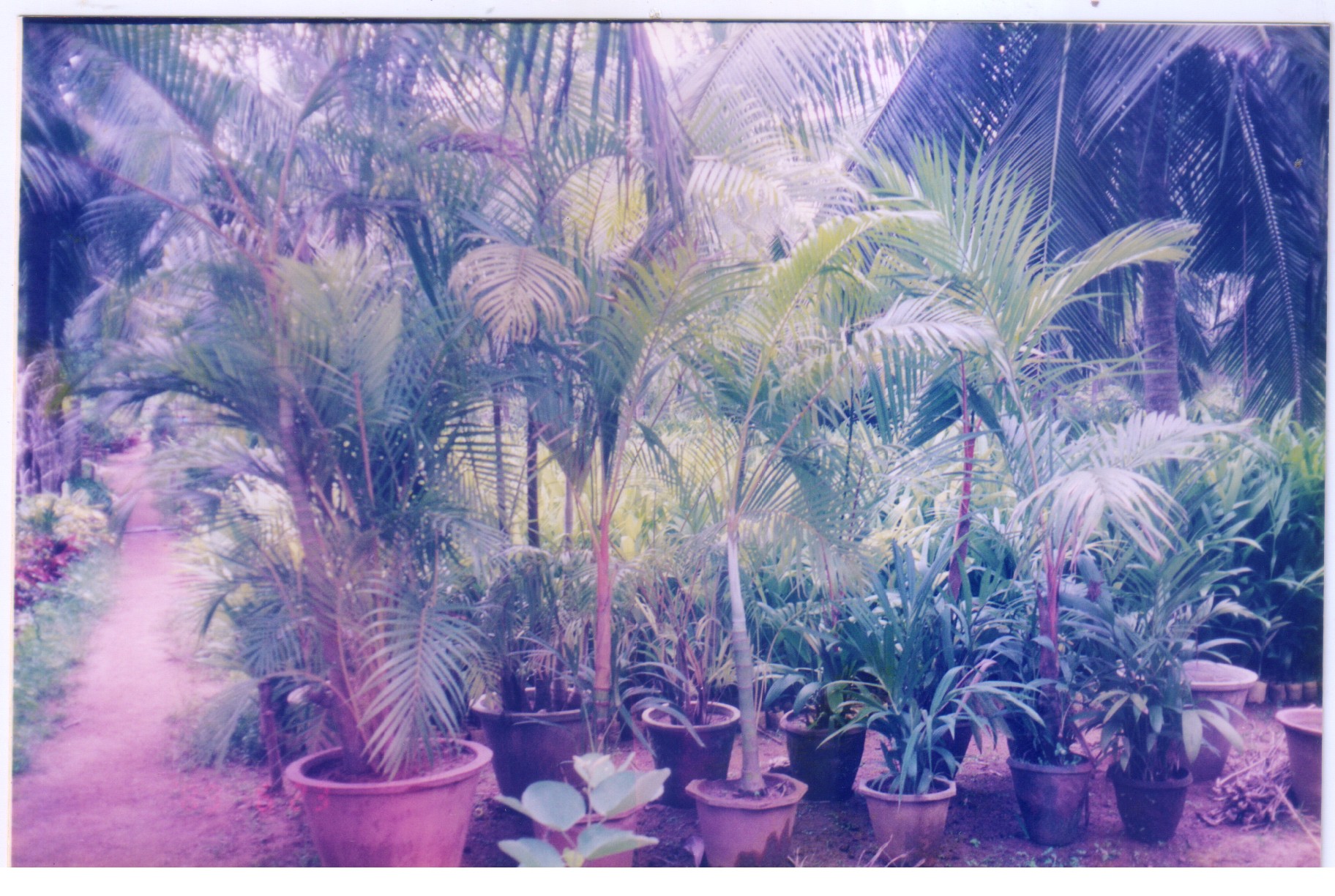 Image-196